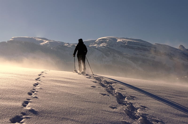 Mountaineering